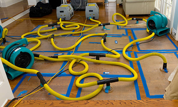 Professional Basement Flood Cleanup technician working in Blue Diamond, NV